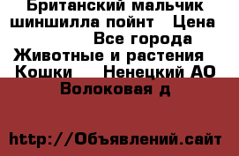 Британский мальчик шиншилла-пойнт › Цена ­ 5 000 - Все города Животные и растения » Кошки   . Ненецкий АО,Волоковая д.
